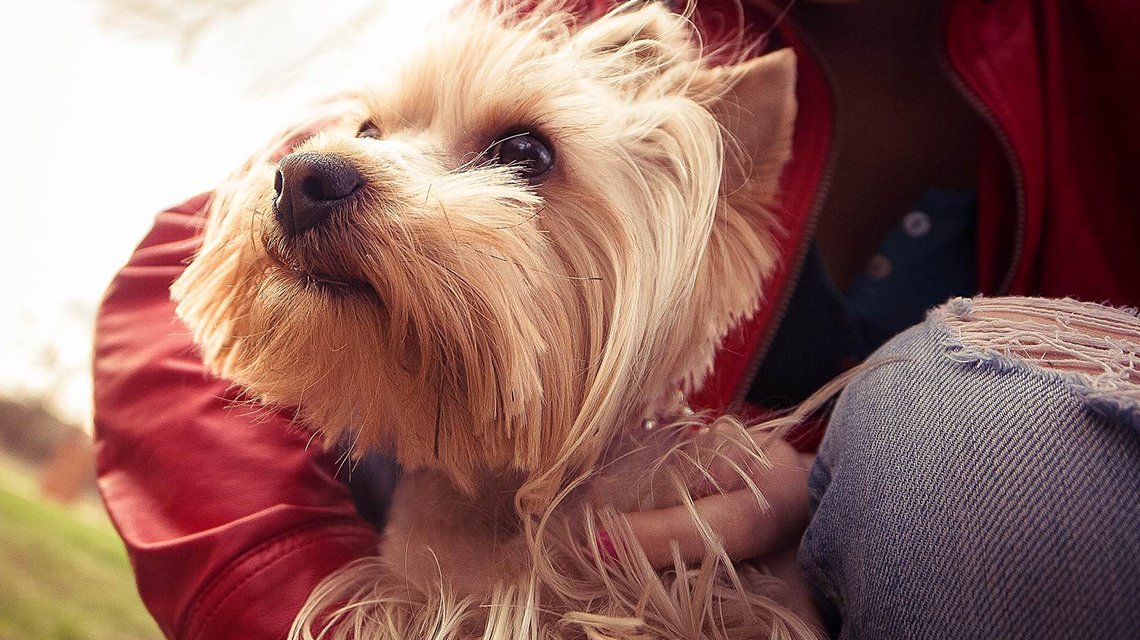 How to Hang a Gallery Wall