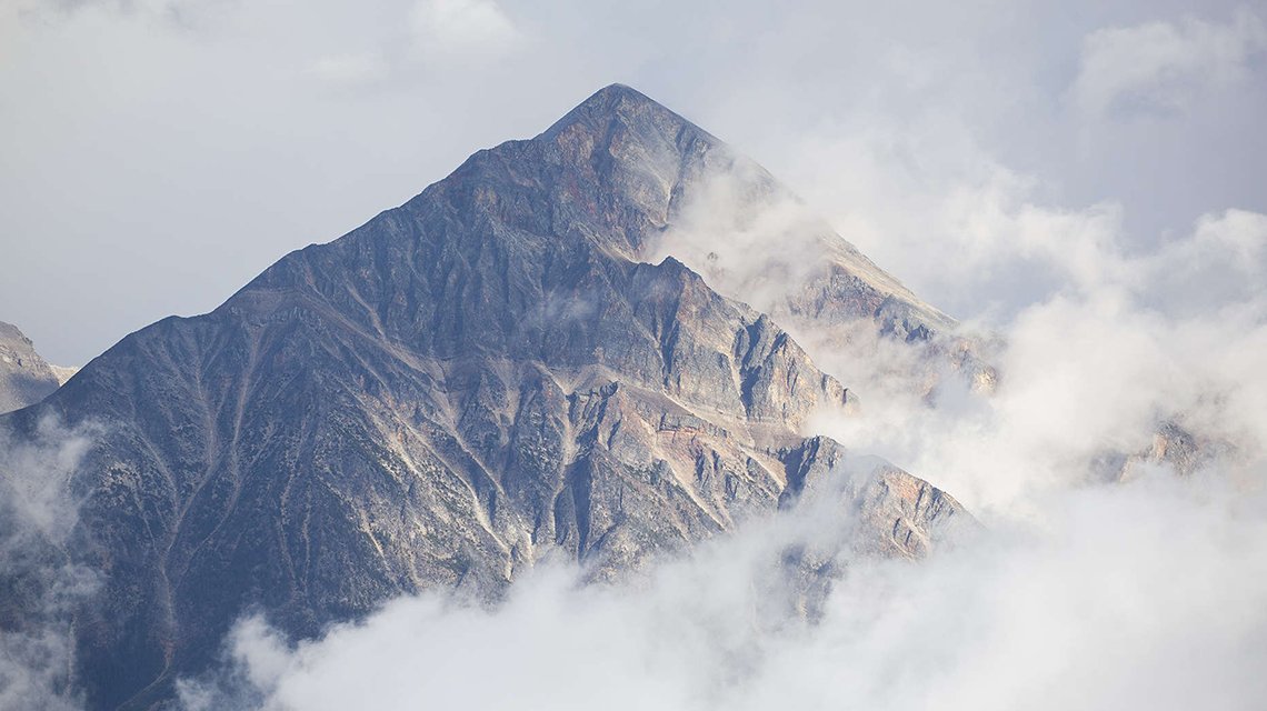 Fresh Finds: Brighton Wine Holder